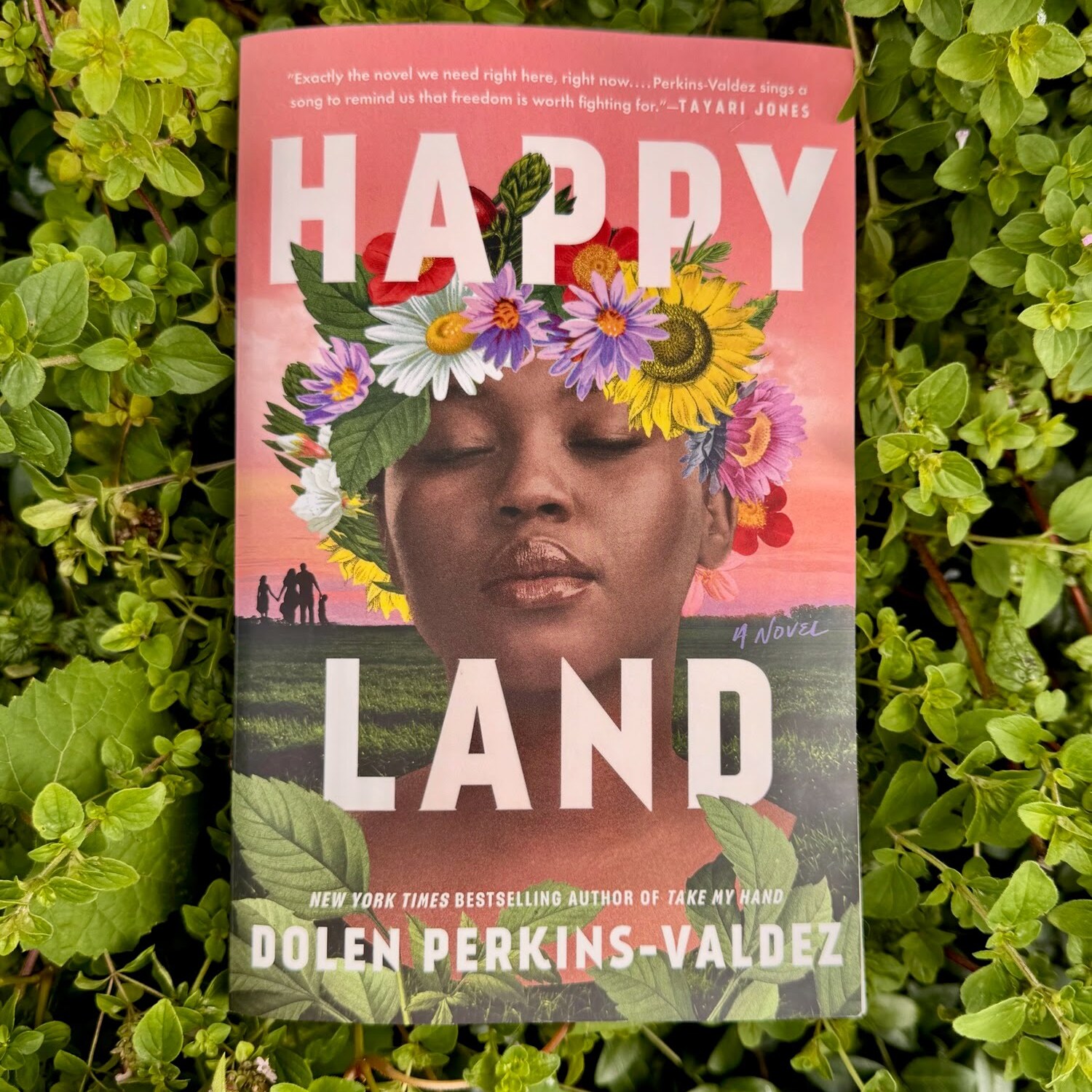 Book Club: 3 part series: Happy Land: by Dolen Perkins-Valdez - logo